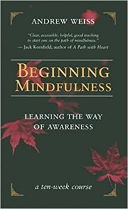 Beginning Mindfulness